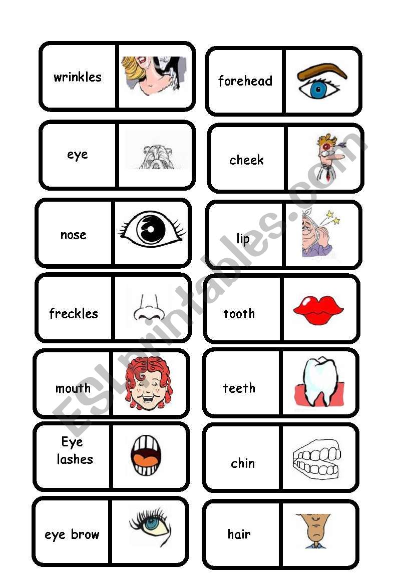 FACE : domino 2/2 worksheet