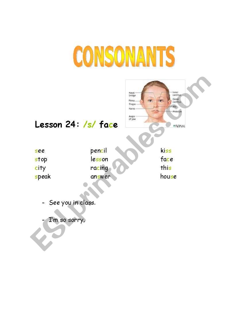 Consonants-sound /s/ worksheet