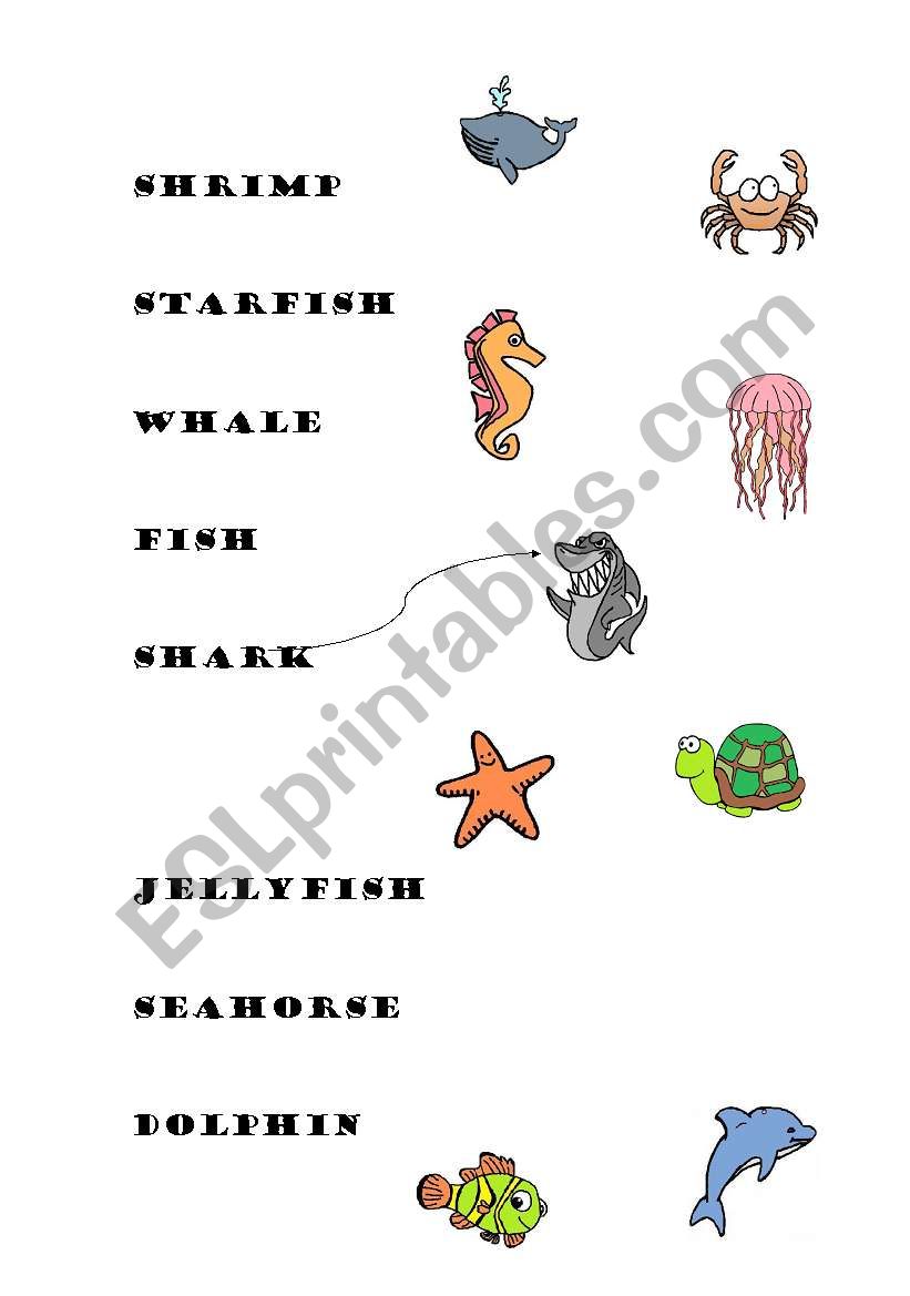 SEA ANIMALS MATCHING ACTIVITY worksheet