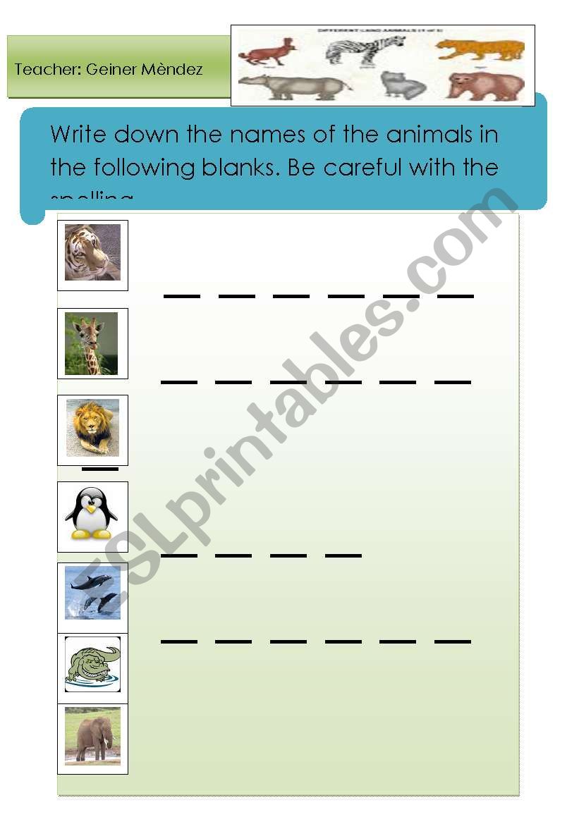 Animals worksheet