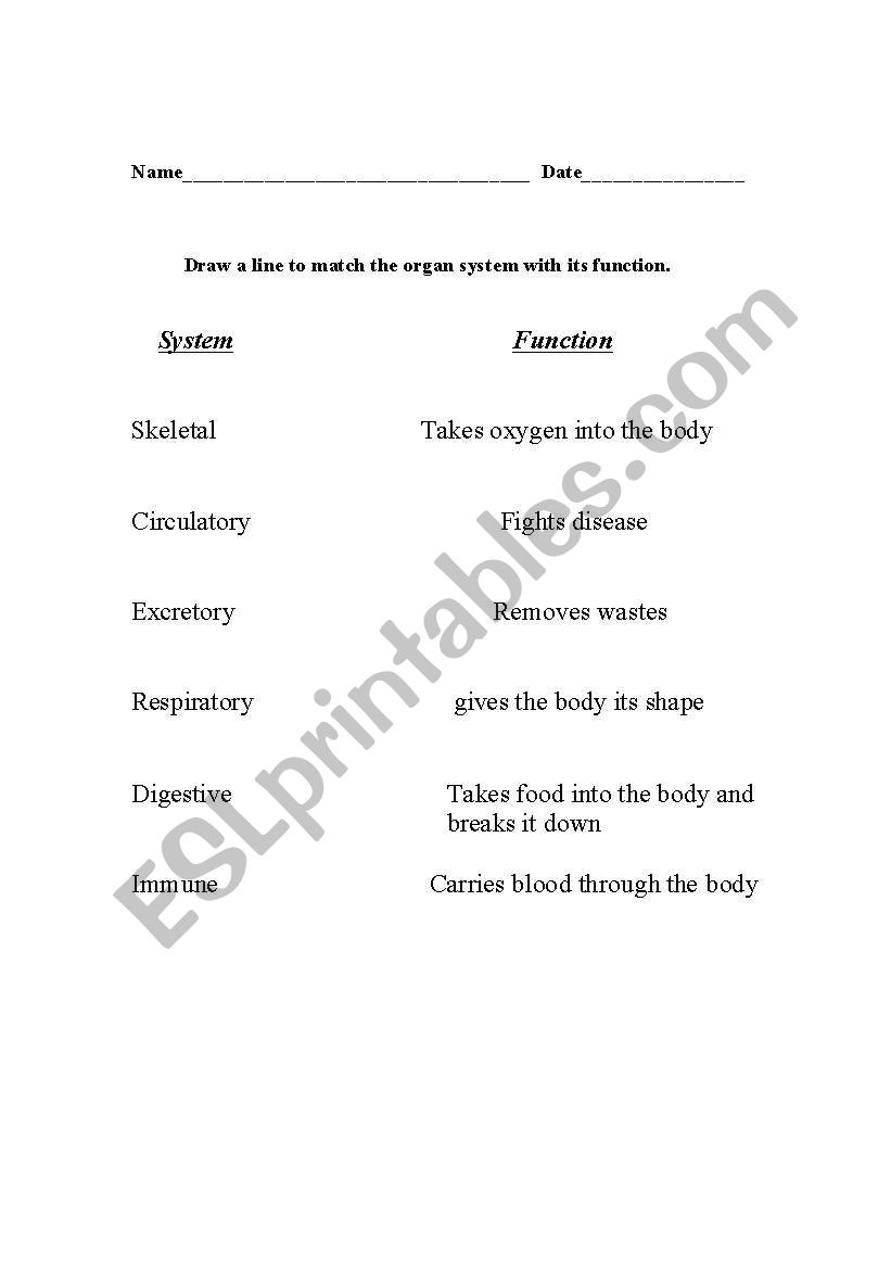 Body Systems worksheet