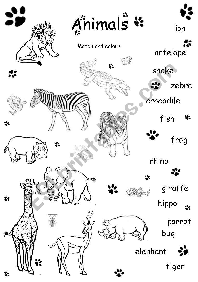 Animals worksheet