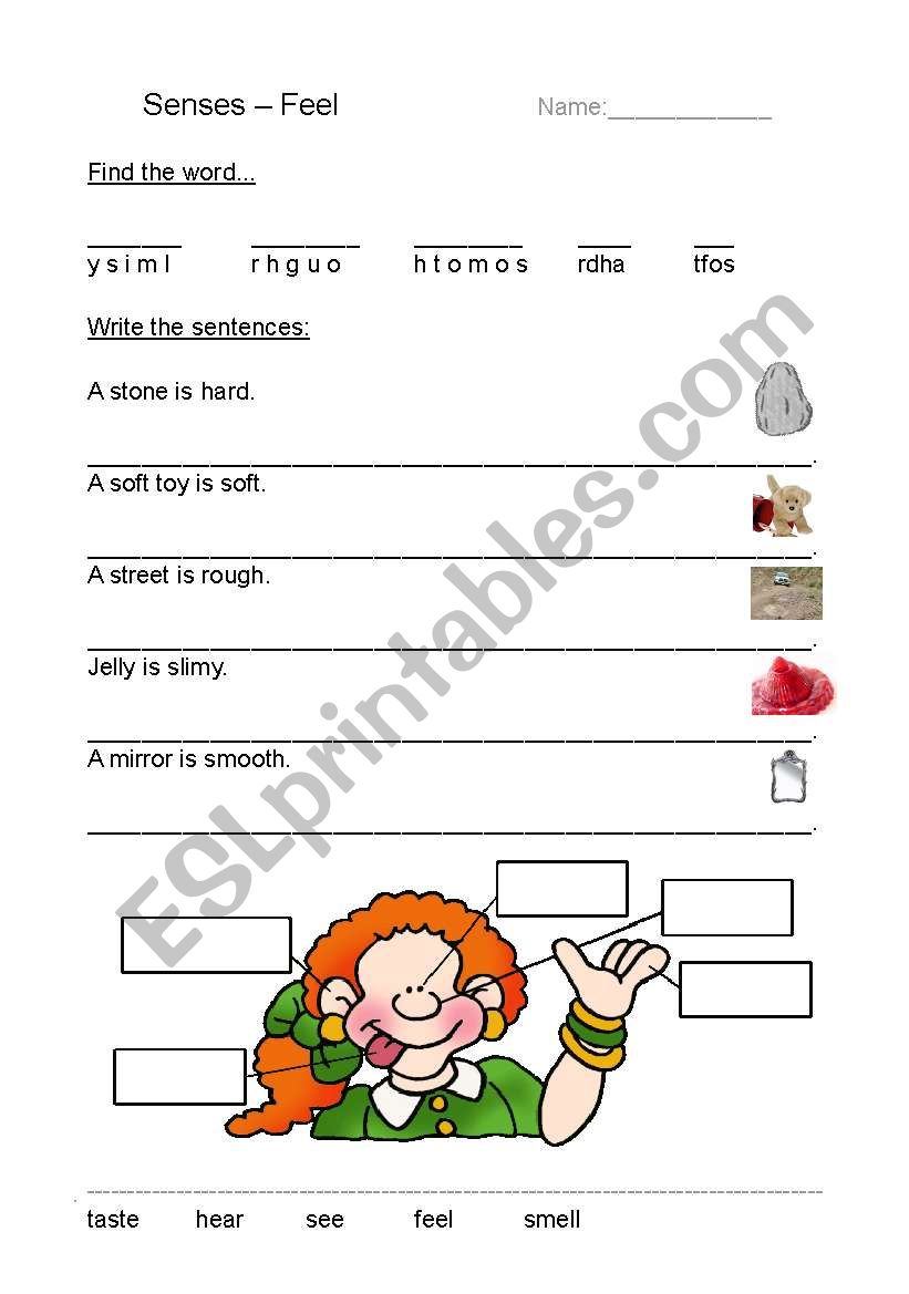 Senses - Feel worksheet