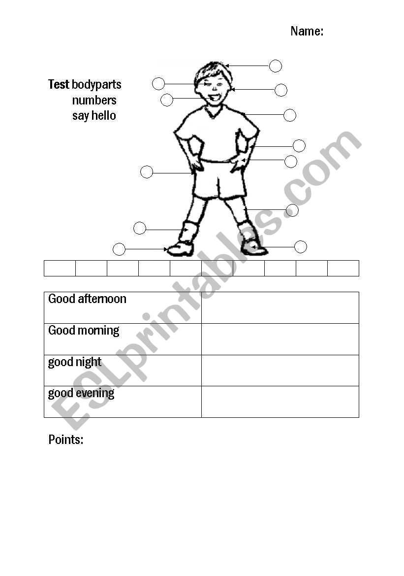 Test Body worksheet