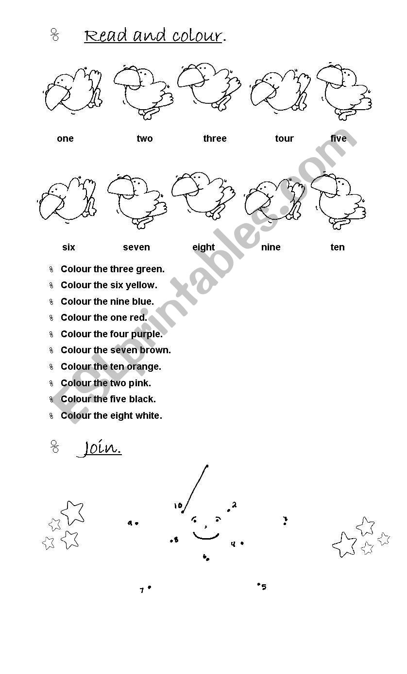 Read and colour the birds worksheet
