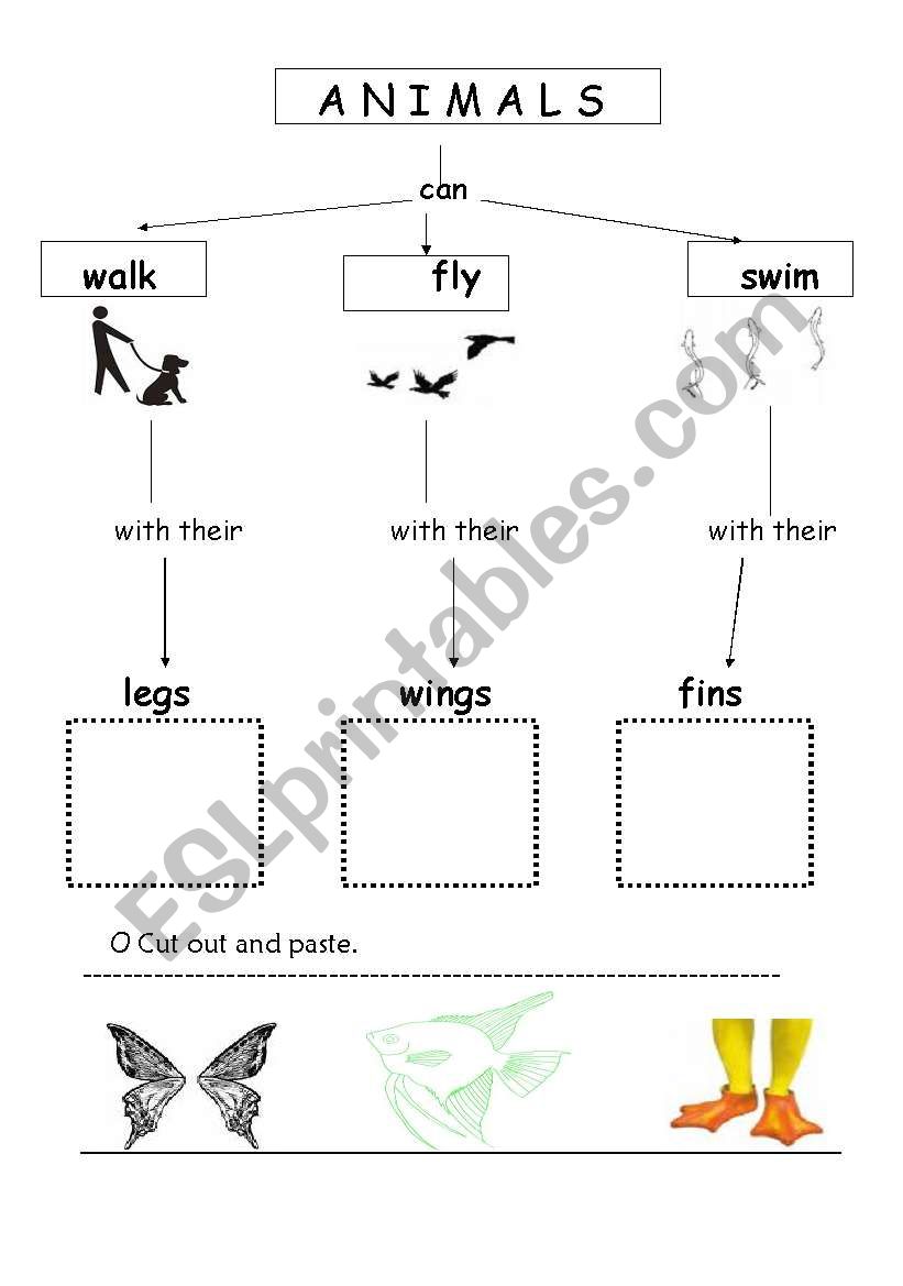 How animals move worksheet