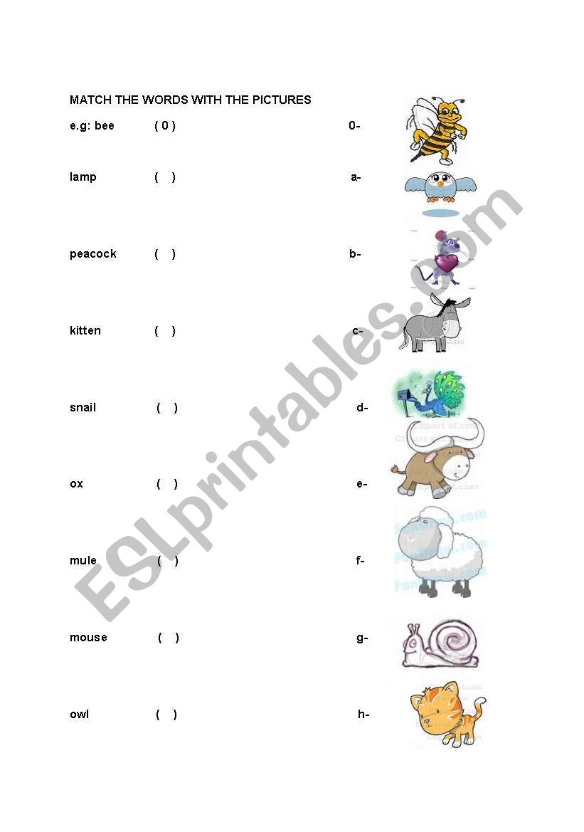 ANIMALS worksheet