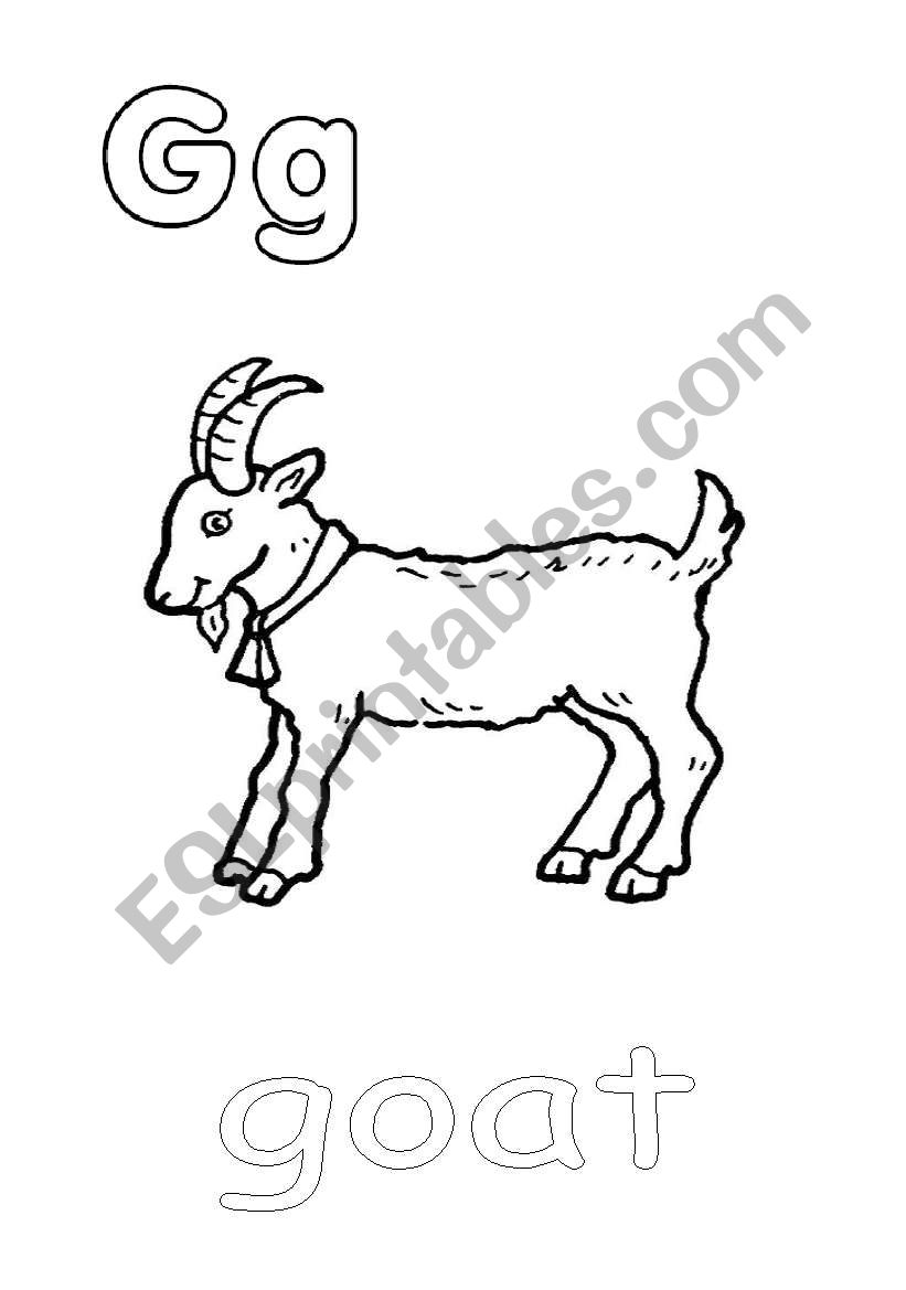 goat worksheet