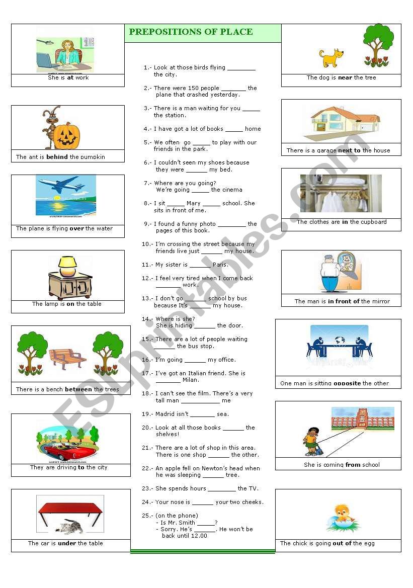 Prepositions of place  worksheet