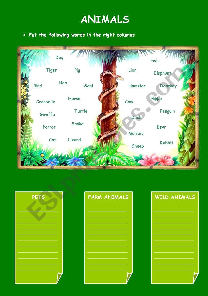 Animals worksheet