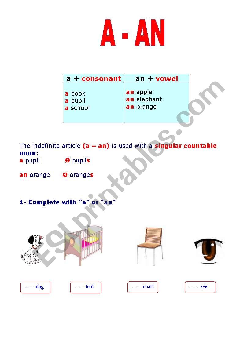   The Indefinite Article worksheet