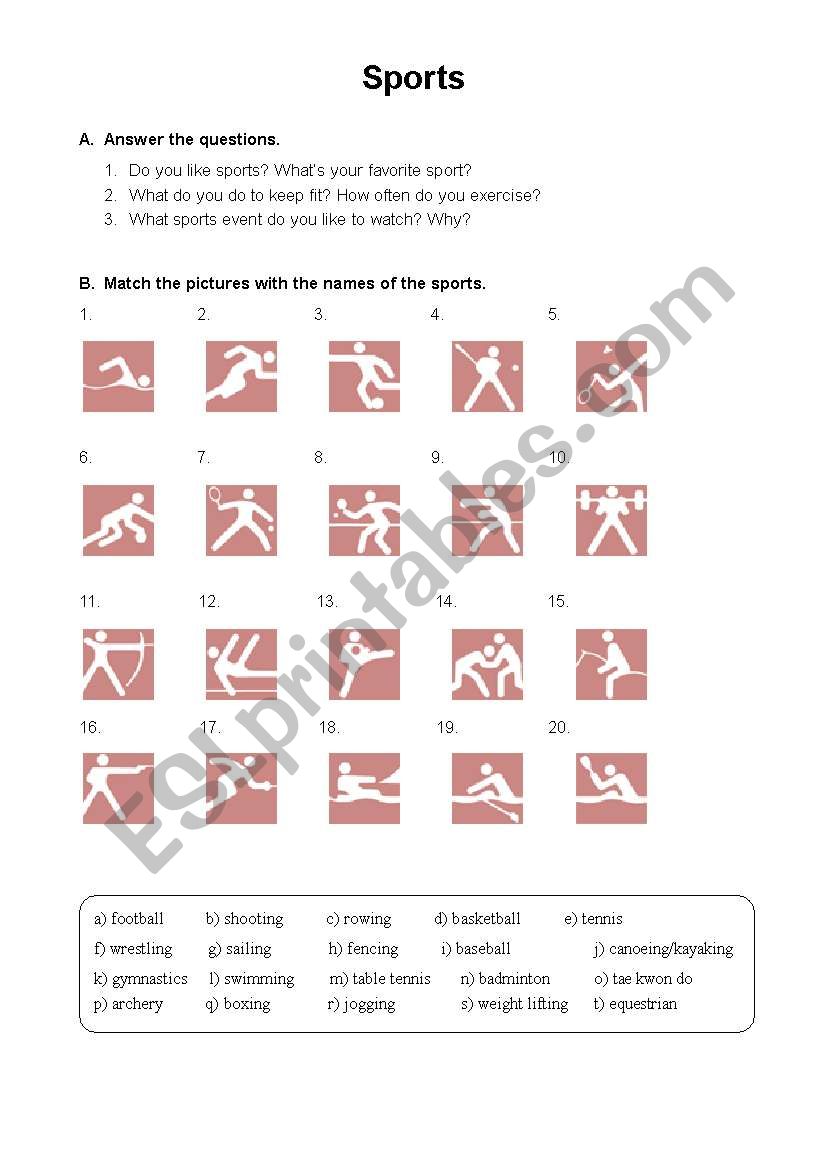 sports worksheet