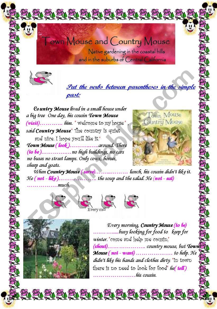 town mouse and country mouse worksheet