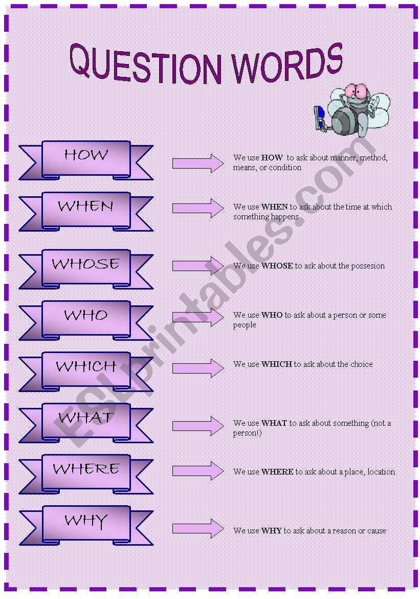 question words worksheet