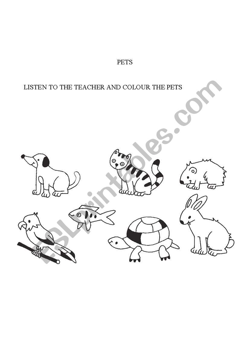 pets worksheet