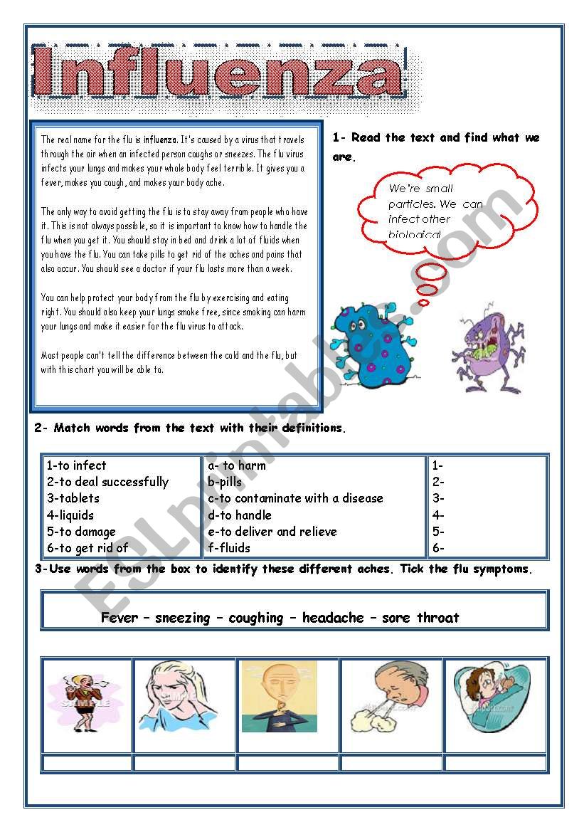 The flu worksheet