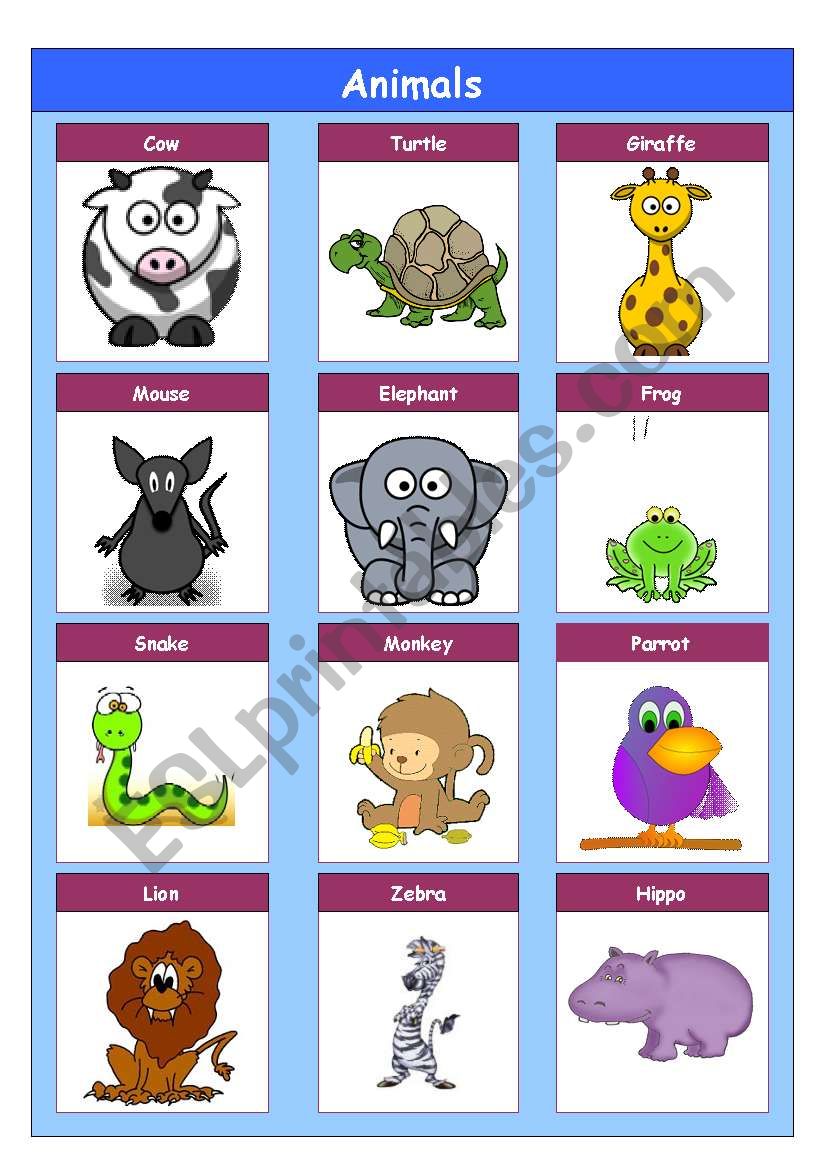 Animals worksheet