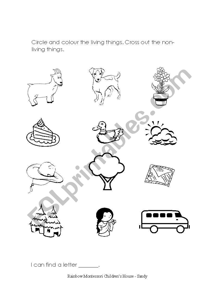 Circle the living things worksheet