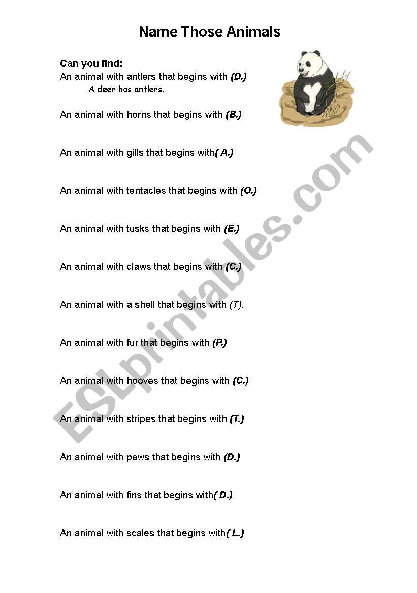 animals worksheet