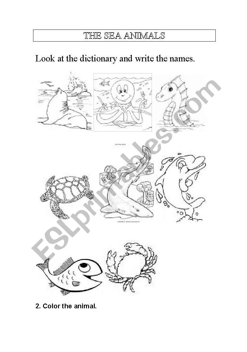 Sea animals worksheet