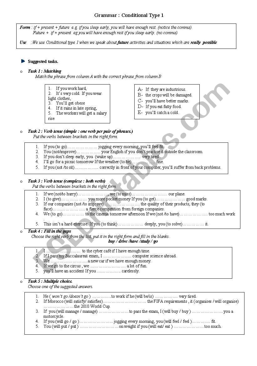 Conditional type 1 worksheet