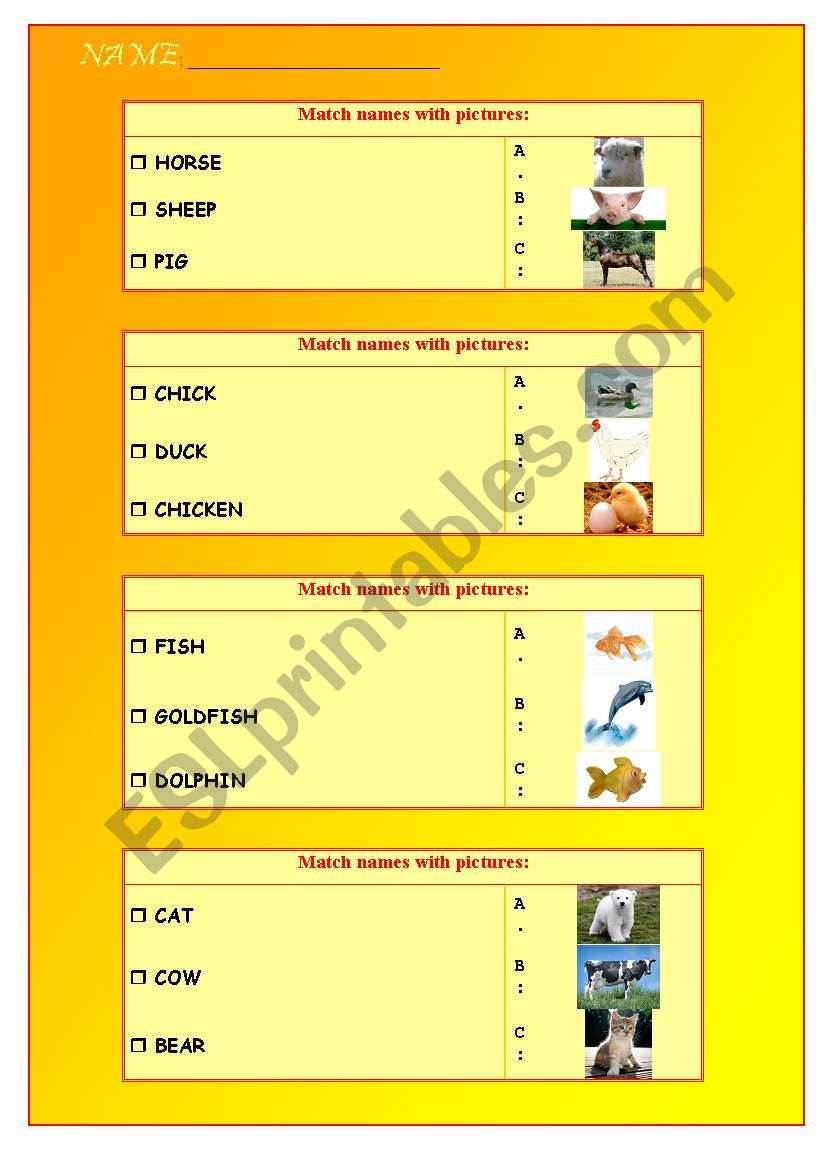 Animals: images and words worksheet