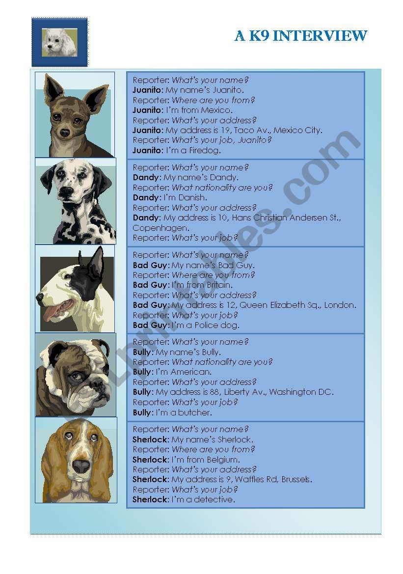 A k9 interview worksheet