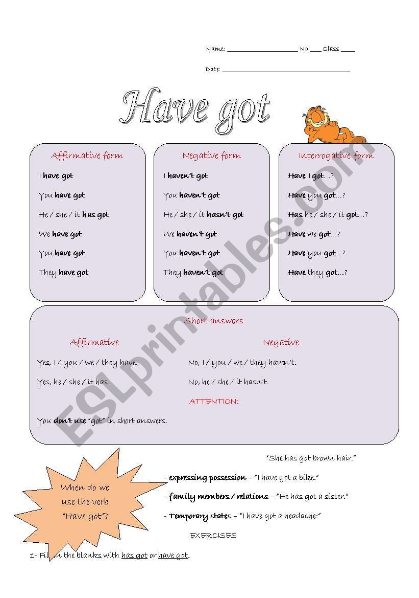 Have got - grammar guide and exercises