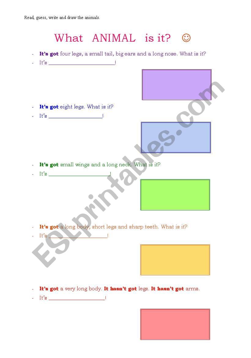 What animal is it? worksheet