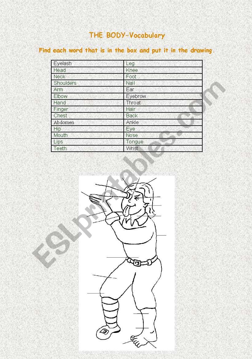 Parts of the body worksheet