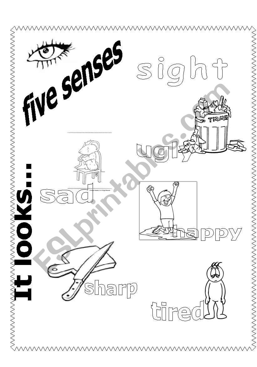 five senses worksheet