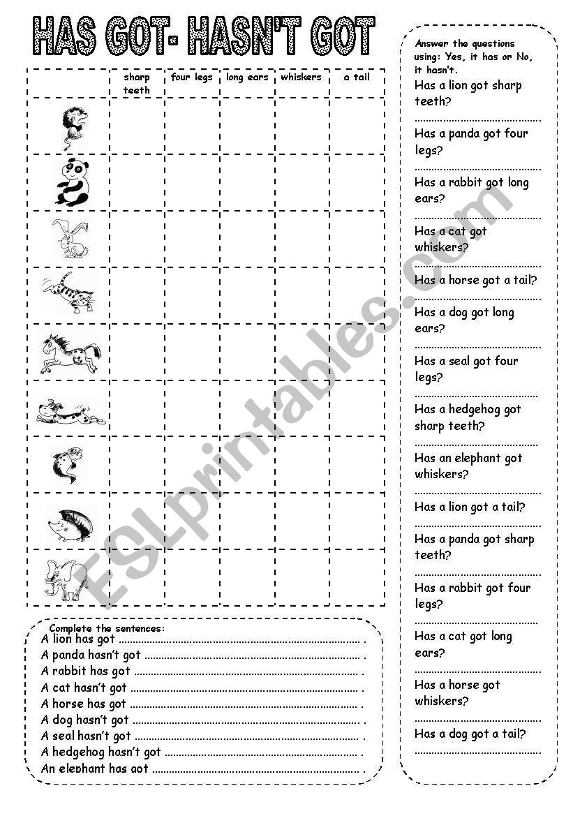 HAS GOT/HASNÂ´T GOT ANIMALS (3)