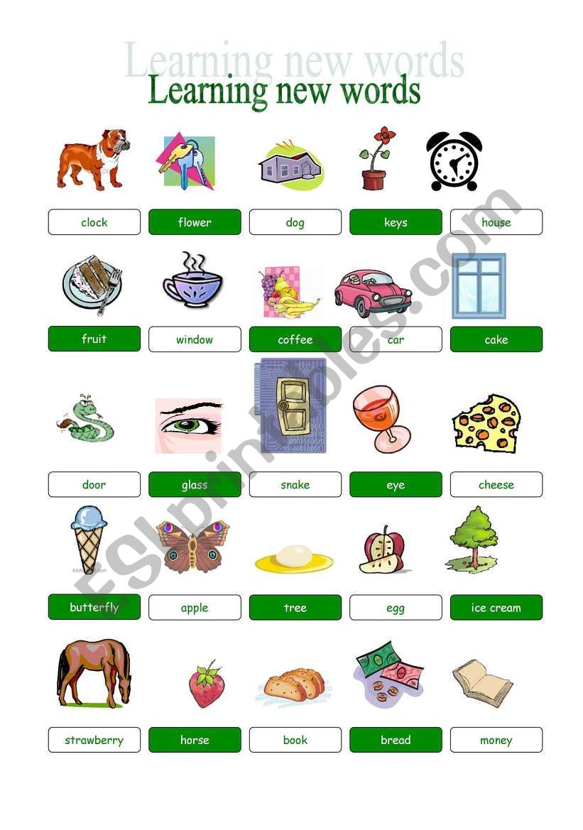 VOCABULARY worksheet