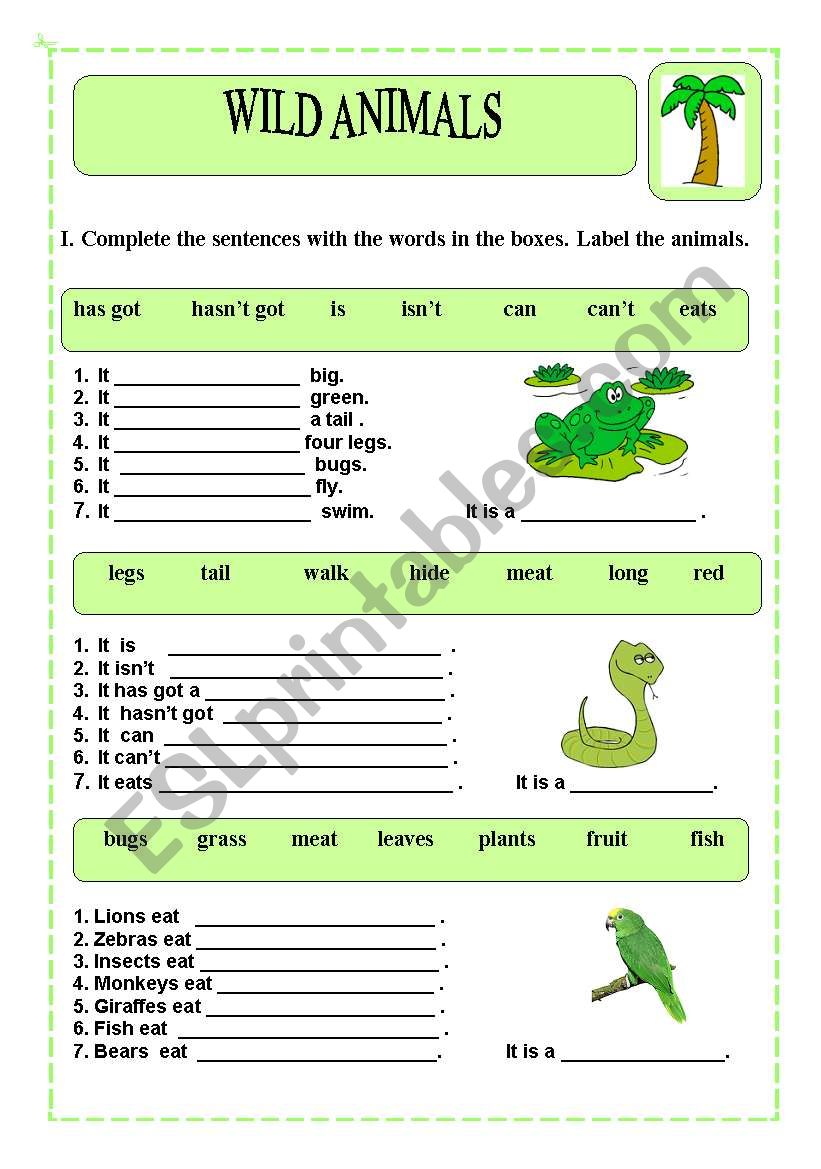 Wild animals worksheet