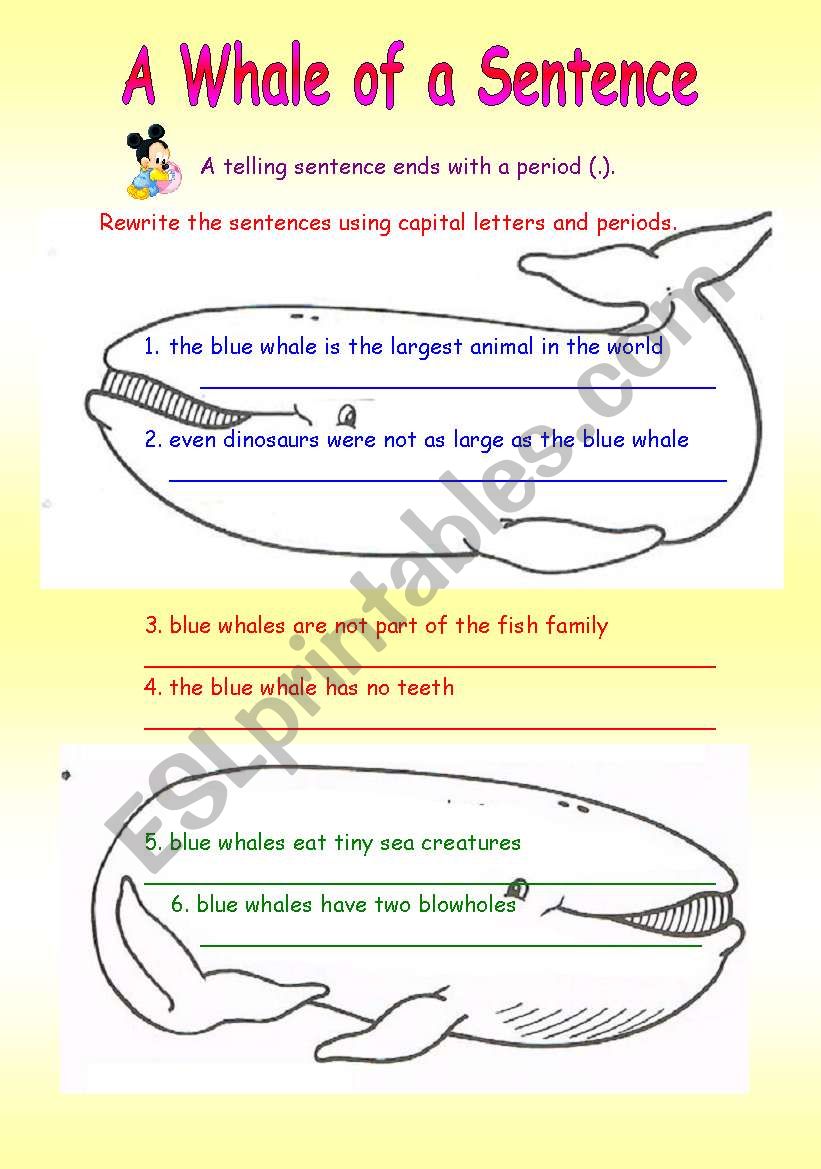 a whale of a sentence worksheet