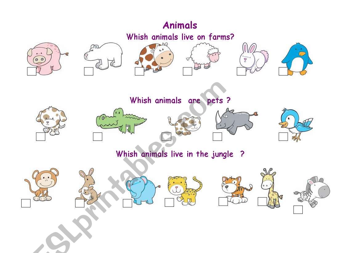 animals worksheet