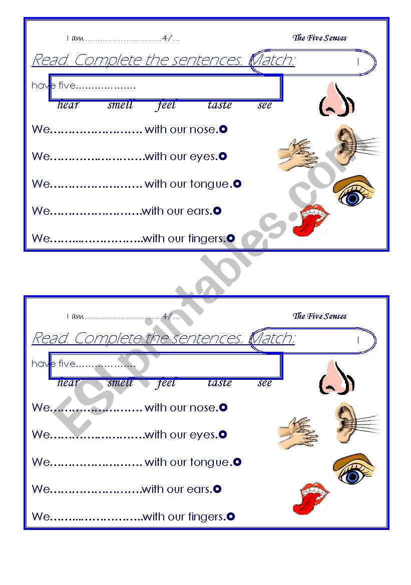 five senses worksheet