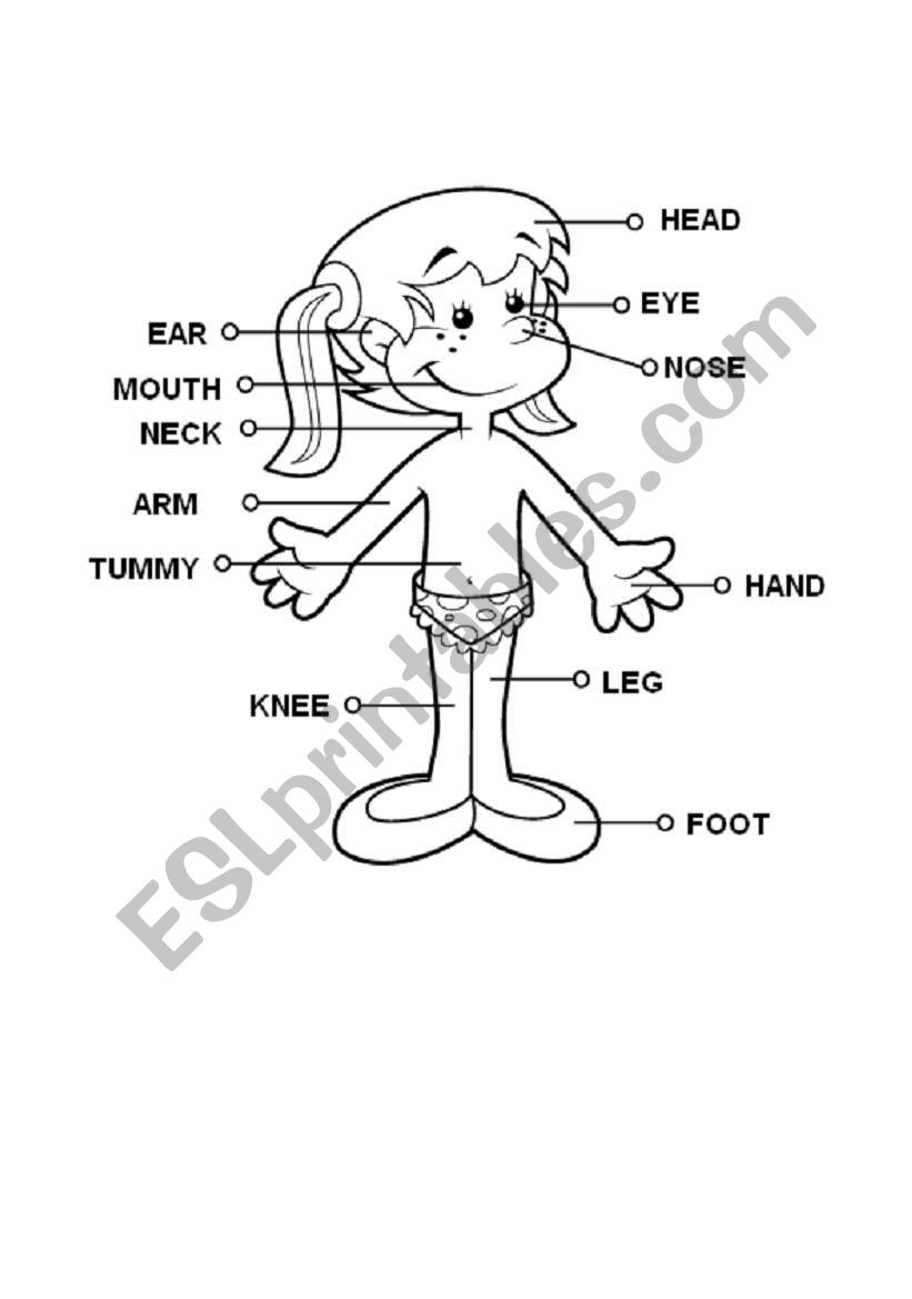 Parts of the body worksheet