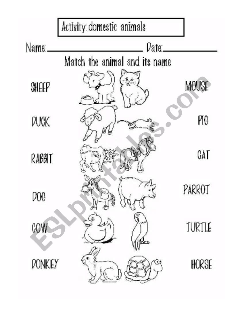 domestic animals worksheet