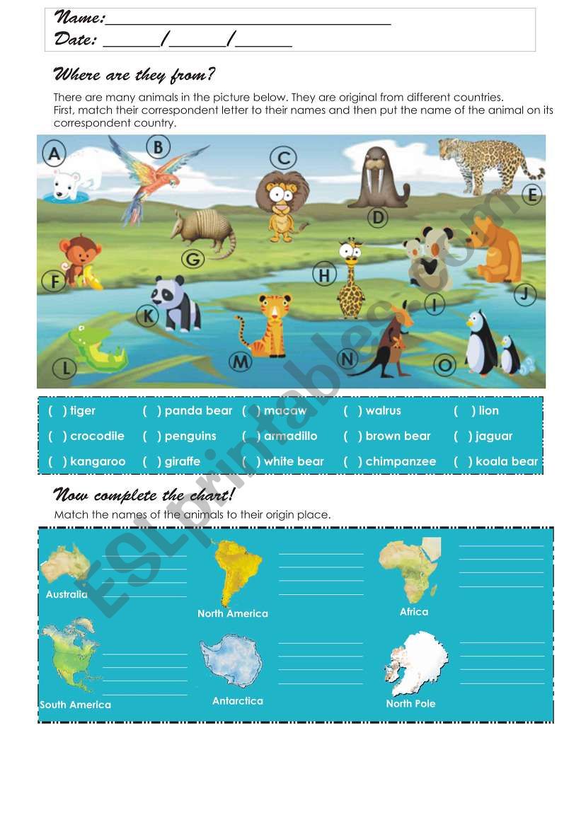 Where are the animals from? worksheet