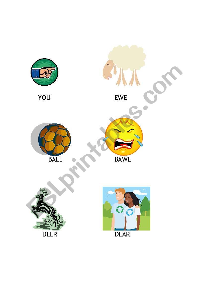 Homonyms Picture Cards (2 of 4)