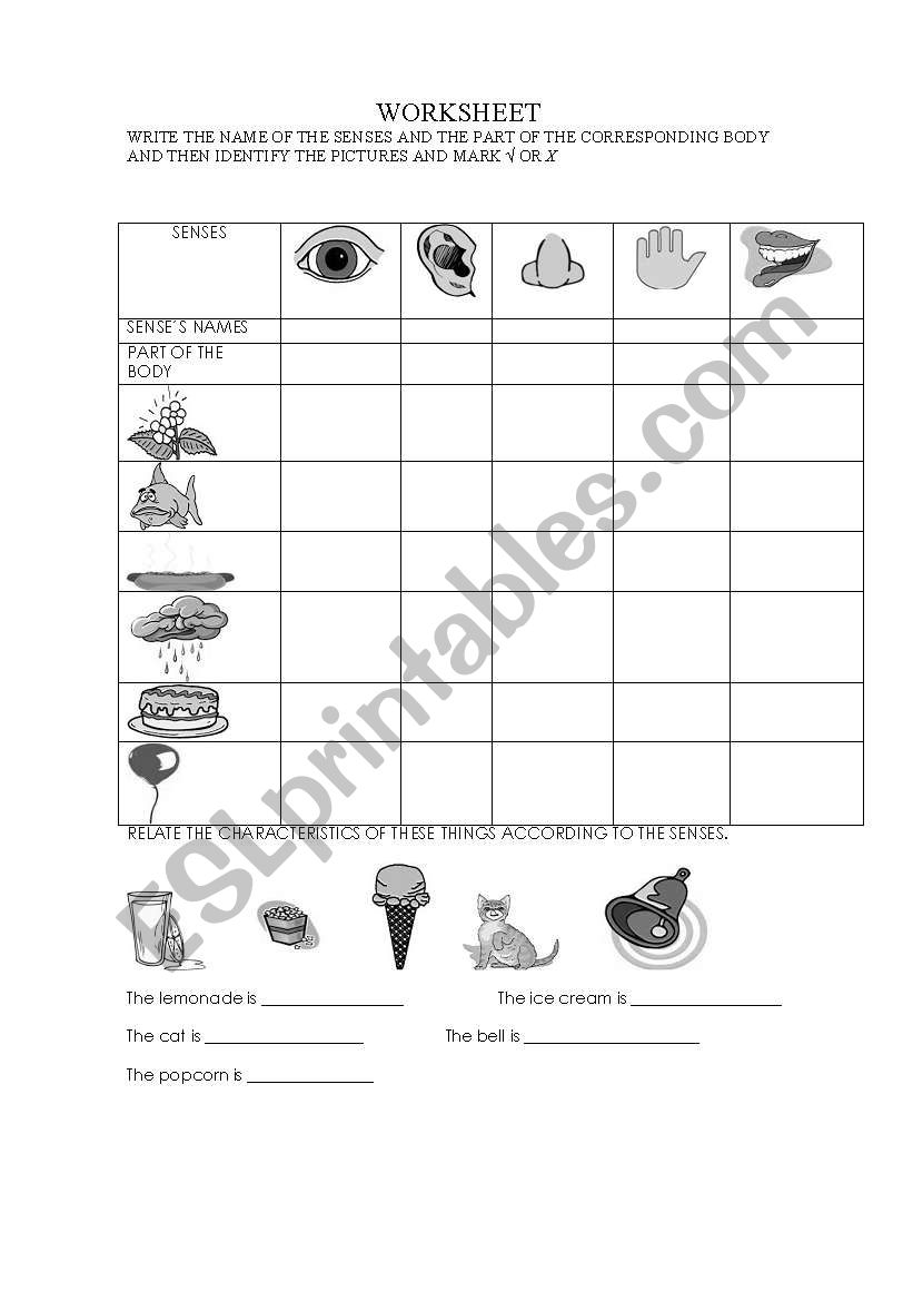 SENSES worksheet