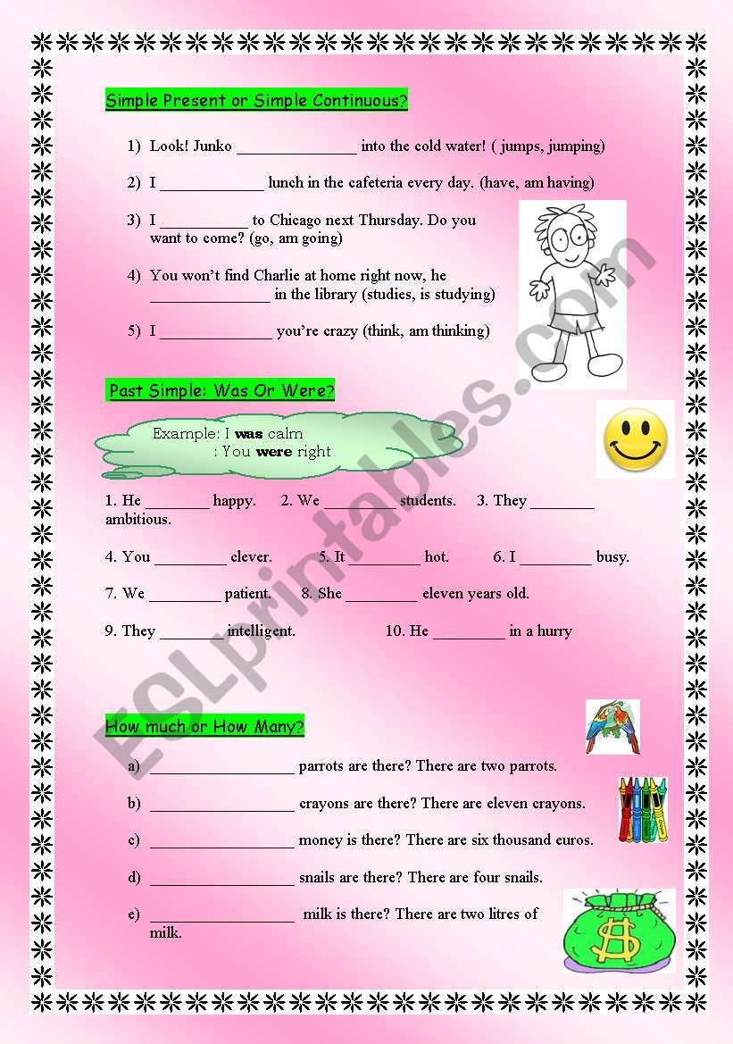 Present Simple or Continuous, Was/Were, How much/How many