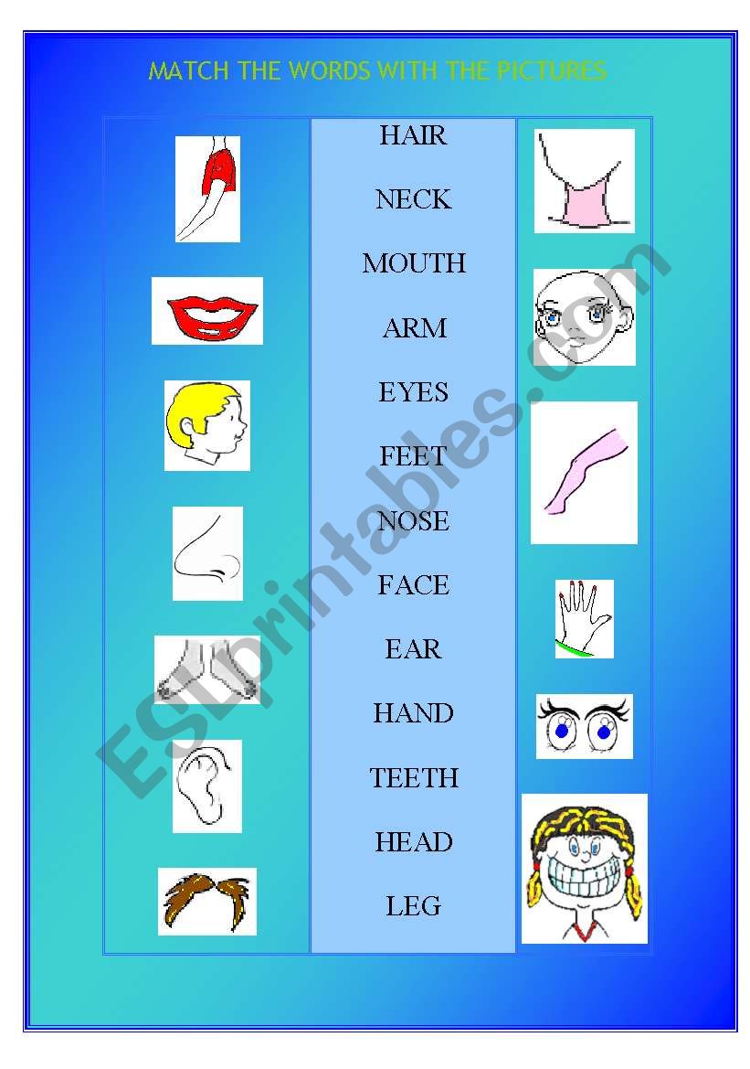 Body parts worksheet