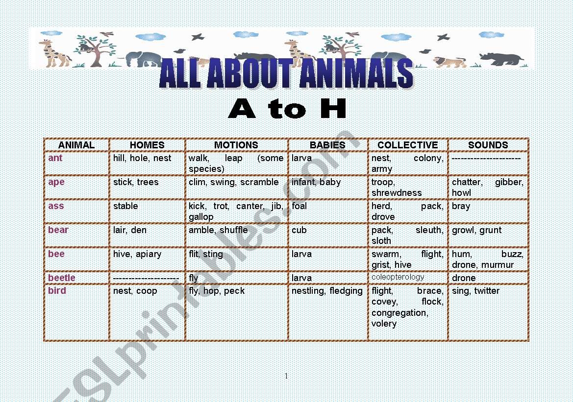 All about animals - A to H worksheet
