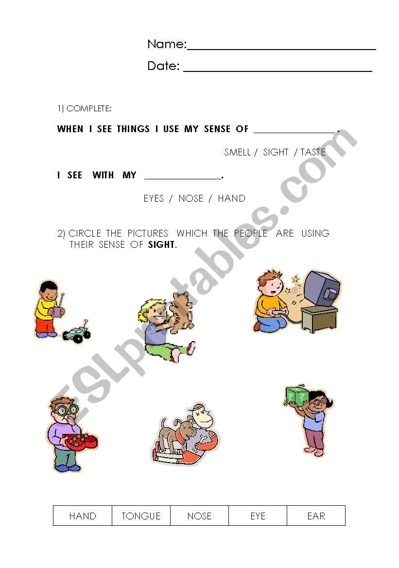 5 senses worksheet