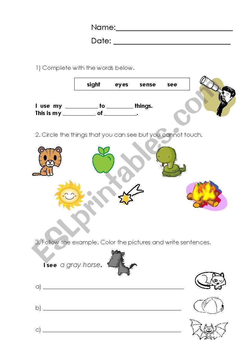 Sense of sight worksheet