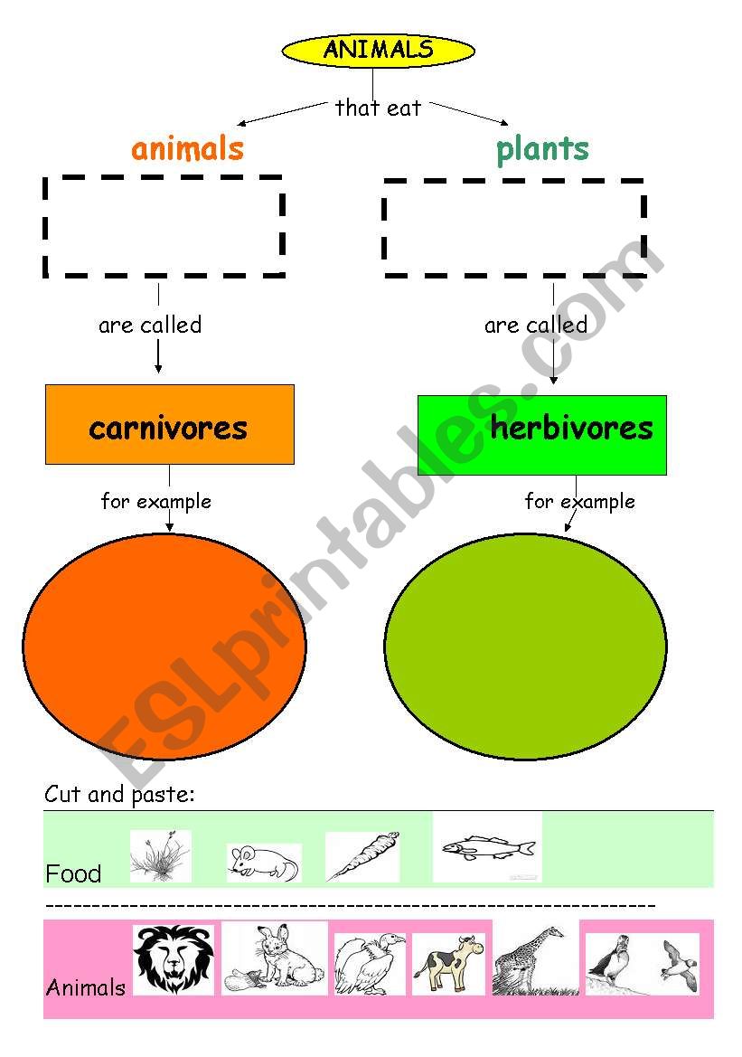 Carnivores and Herbivores animals - ESL worksheet by SUSANAMITA