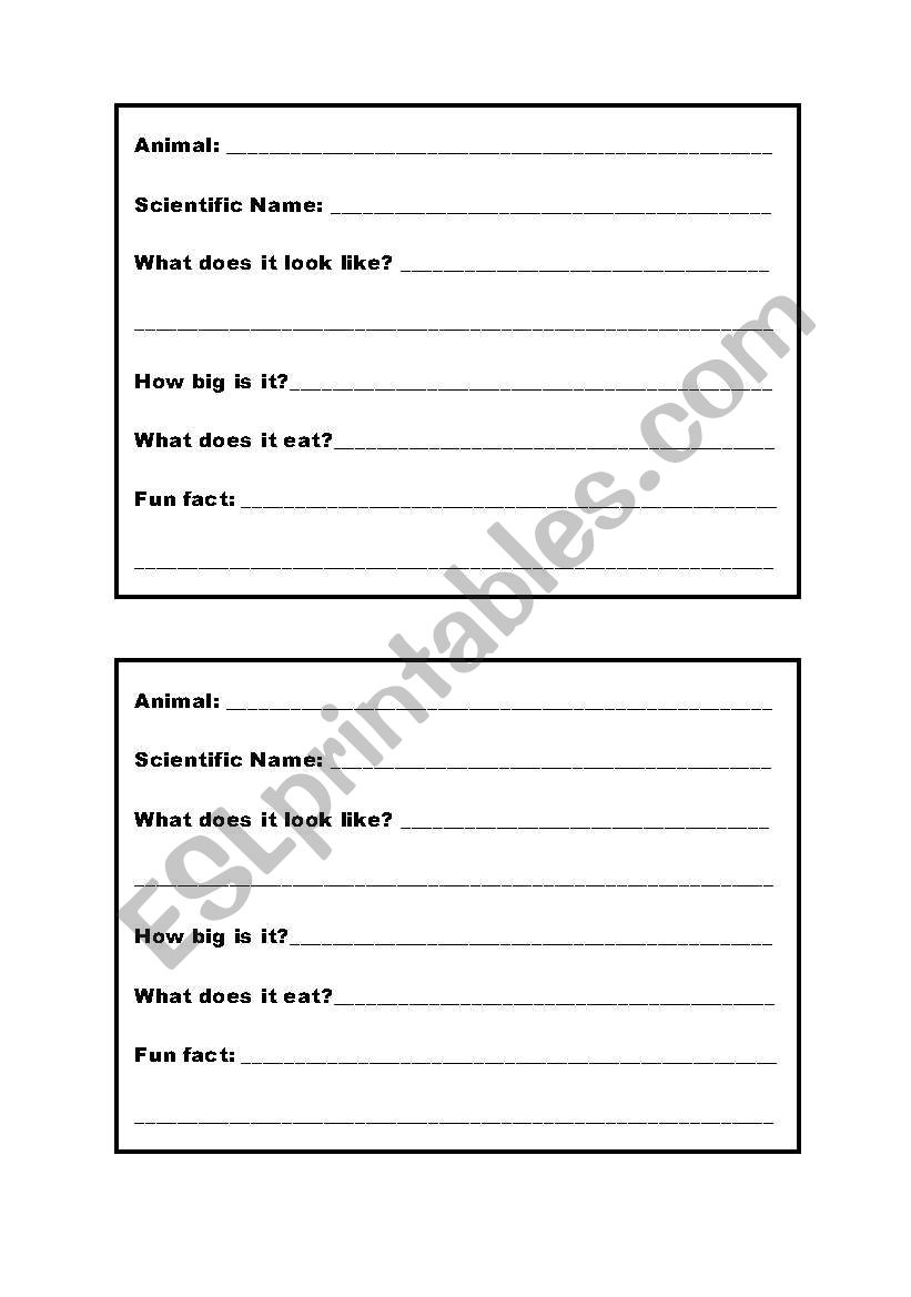 Ocean Animal Research worksheet