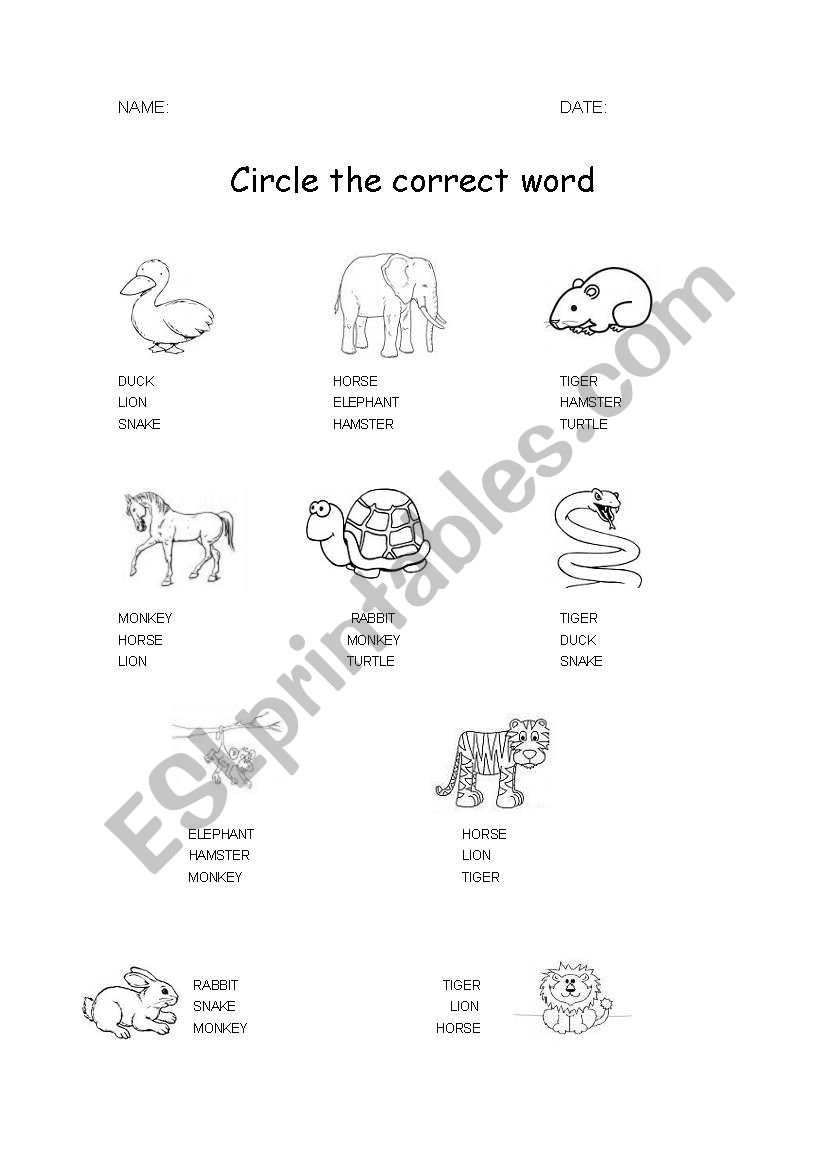 Animals worksheet